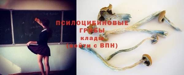 таблы Богданович