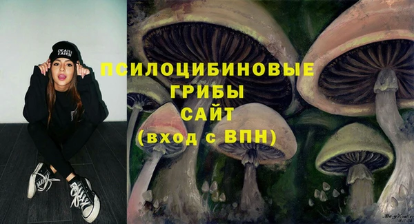спайс Богородицк